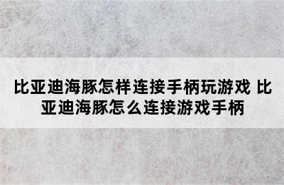 比亚迪海豚怎样连接手柄玩游戏 比亚迪海豚怎么连接游戏手柄